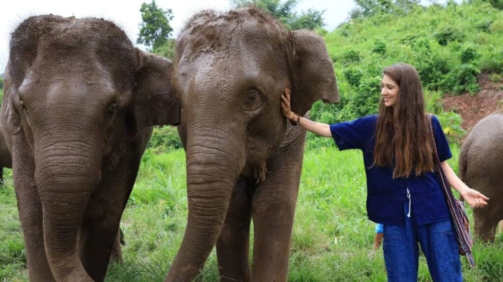 A traveller gently meeting an elephant at a Chiang Mai sanctuary